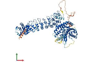 AlphaFold protein structure predicition of Human Recombinant PLA2G6 Protein, UniprotID O60733