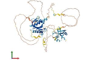 AlphaFold protein structure predicition of Human Recombinant SHC3 Protein, UniprotID Q92529