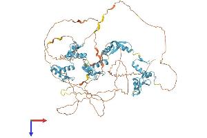 AlphaFold protein structure predicition of Human Recombinant CTCF Protein, UniprotID P49711
