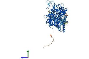 AlphaFold protein structure predicition of Human Recombinant POMT2 Protein, UniprotID Q9UKY4