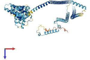 AlphaFold protein structure predicition of Mouse Recombinant Iqcb1 Protein, UniprotID Q8BP00