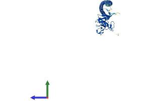 AlphaFold protein structure predicition of Mouse Recombinant Clec10a Protein, UniprotID P49300