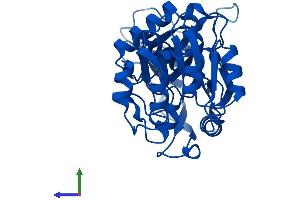 AlphaFold protein structure predicition of Human Recombinant TP53I3 Protein, UniprotID Q53FA7
