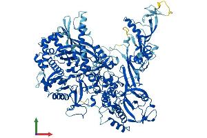 AlphaFold protein structure predicition of Mouse Recombinant Polr1b Protein, UniprotID P70700