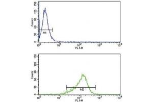IL-12 antibody flow cytometry analysis of MDA-MB231 cells (green) compared to a negative control (blue).