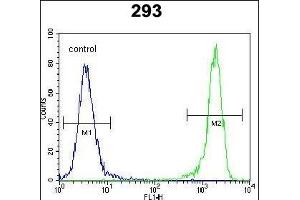 anti-DNA-Damage-Inducible Transcript 3 (DDIT3) (AA 120-149), (C-Term) antibody