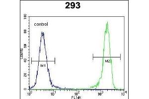 DDIT3 Antibody (C-term ) (ABIN655895 and ABIN2845295) flow cytometric analysis of 293 cells (right histogram) compared to a negative control cell (left histogram). (DDIT3 anticorps  (C-Term))