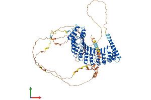 AlphaFold protein structure predicition of Human Recombinant PPP1R37 Protein, UniprotID O75864
