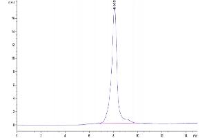 The purity of Human CA9 is greater than 95 % as determined by SEC-HPLC.