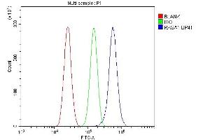Flow Cytometry analysis of U87 cells using anti-RASA1 antibody (ABIN3043368).
