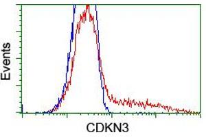 HEK293T cells transfected with either RC213080 overexpress plasmid (Red) or empty vector control plasmid (Blue) were immunostained by anti-CDKN3 antibody (ABIN2455054), and then analyzed by flow cytometry. (CDKN3 anticorps)