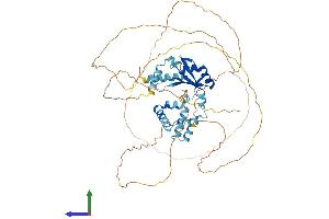AlphaFold protein structure predicition of Human Recombinant CSTF2 Protein, UniprotID P33240