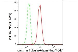 Flow cytometric analysis of gamma Tubulin expression in HepG2 cells using gamma Tubulin antibody (ABIN7800670), 1:2,000). (Recombinant gamma Tubulin anticorps)