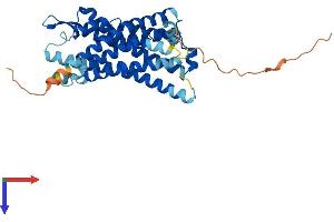 AlphaFold protein structure predicition of Mouse Recombinant Fpr2 Protein, UniprotID O88536