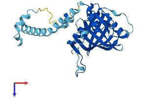 AlphaFold protein structure predicition of Human Recombinant IMP4 Protein, UniprotID Q96G21