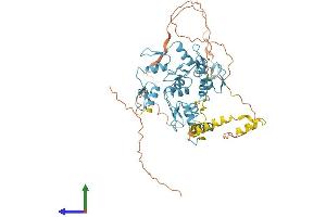 AlphaFold protein structure predicition of Human Recombinant ZNF775 Protein, UniprotID Q96BV0