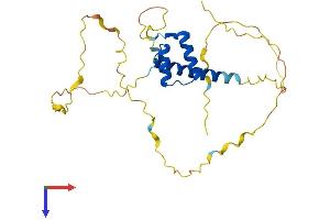 AlphaFold protein structure predicition of Mouse Recombinant Cdx1 Protein, UniprotID P18111