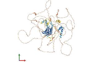AlphaFold protein structure predicition of Mouse Recombinant Map10 Protein, UniprotID Q8BJS7