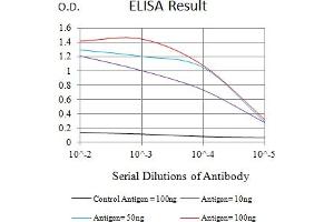 Black line: Control Antigen (100 ng),Purple line: Antigen (10 ng), Blue line: Antigen (50 ng), Red line:Antigen (100 ng) (LRP1B anticorps  (AA 25-161))