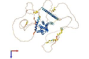 AlphaFold protein structure predicition of Human Recombinant EPN2 Protein, UniprotID O95208