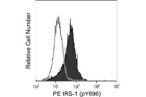 Flow Cytometry (FACS) image for anti-Insulin Receptor Substrate 1 (IRS1) (pTyr896) antibody (PE) (ABIN1177073) (IRS1 anticorps  (pTyr896) (PE))
