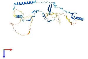 AlphaFold protein structure predicition of Human Recombinant VPS72 Protein, UniprotID Q15906