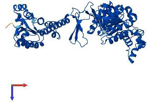 AlphaFold protein structure predicition of Human Recombinant ATIC Protein, UniprotID P31939