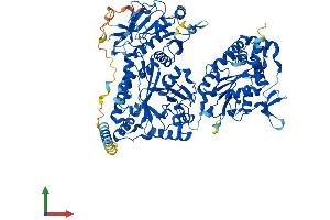 AlphaFold protein structure predicition of Mouse Recombinant Ndst2 Protein, UniprotID P52850