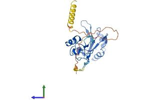 AlphaFold protein structure predicition of Mouse Recombinant Snrnp35 Protein, UniprotID Q9D384