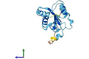 AlphaFold protein structure predicition of Mouse Recombinant Nhp2 Protein, UniprotID Q9CRB2
