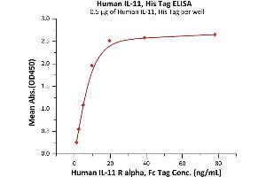 Immobilized Human IL-11, His Tag (ABIN6992342) at 5 μg/mL (100 μL/well) can bind Human IL-11 R alpha, Fc Tag (ABIN6992343) with a linear range of 1-10 ng/mL (Routinely tested). (IL-11 Protein (AA 22-199) (His tag))