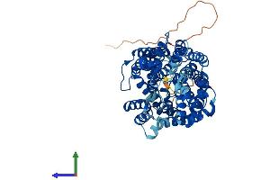 AlphaFold protein structure predicition of Mouse Recombinant Slc6a1 Protein, UniprotID P31648