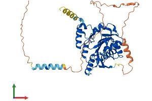 AlphaFold protein structure predicition of Mouse Recombinant B3galt2 Protein, UniprotID O54905