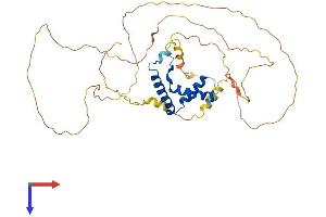 AlphaFold protein structure predicition of Mouse Recombinant Lef1 Protein, UniprotID P27782