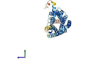 AlphaFold protein structure predicition of Mouse Recombinant Mc5r Protein, UniprotID P41149