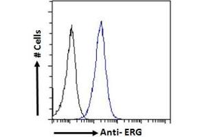 ABIN185550 Flow cytometric analysis of paraformaldehyde fixed MCF7 cells (blue line), permeabilized with 0.