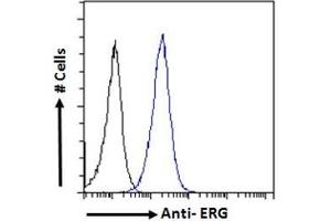 ABIN185550 Flow cytometric analysis of paraformaldehyde fixed MCF7 cells (blue line), permeabilized with 0. (ERG anticorps  (C-Term))