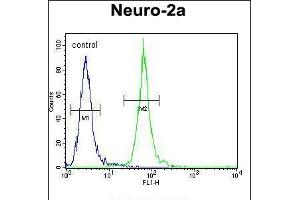 Flow cytometric analysis of Neuro-2a cells (right histogram) compared to a negative control cell (left histogram). (Primary Ciliary Dyskinesia Protein 1 (PCDP1) (AA 787-816), (C-Term) anticorps)