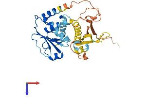 AlphaFold protein structure predicition of Human Recombinant DUSP15 Protein, UniprotID Q9H1R2