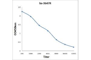 Antigen: 2 µg/100 µL  Primary: Antiserum, 1:500, 1:1000, 1:2000, 1:4000, 1:8000, 1:16000, 1:32000;  Secondary: HRP conjugated Rabbit Anti-Goat IgG at 1: 5000;  TMB staining Read the data in Microplate Reader by 450nm.