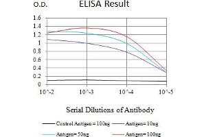 Black line: Control Antigen (100 ng),Purple line: Antigen (10 ng), Blue line: Antigen (50 ng), Red line:Antigen (100 ng) (Glypican 3 anticorps  (AA 55-200))