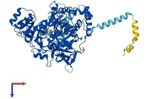 AlphaFold protein structure predicition of Mouse Recombinant Acsl1 Protein, UniprotID P41216