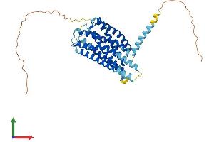 AlphaFold protein structure predicition of Mouse Recombinant Gpr34 Protein, UniprotID Q9R1K6