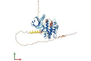 AlphaFold protein structure predicition of Mouse Recombinant Camk1d Protein, UniprotID Q8BW96