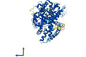 AlphaFold protein structure predicition of Mouse Recombinant Cyp26a1 Protein, UniprotID O55127