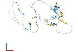 AlphaFold protein structure predicition of Mouse Recombinant Paf1 Protein, UniprotID Q8K2T8