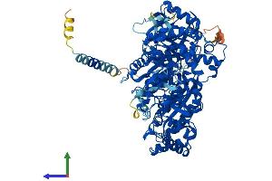 AlphaFold protein structure predicition of Mouse Recombinant Ndst1 Protein, UniprotID Q3UHN9