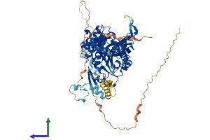 AlphaFold protein structure predicition of Human Recombinant TRMT1 Protein, UniprotID Q9NXH9