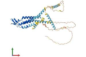 AlphaFold protein structure predicition of Mouse Recombinant Gjc1 Protein, UniprotID P28229