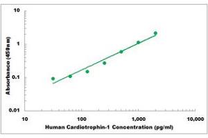 Representative Standard Curve (Cardiotrophin 1 Kit ELISA)